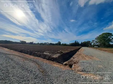 Terreno en Venta en Centro Agricola el Pato, Partido de Berazategui