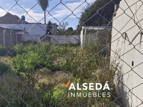El Rosedal al 3000