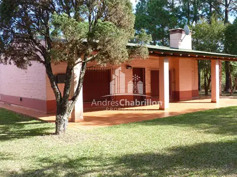 Forestación Eucaliptus En Concordia