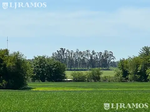 Terreno - Countries/B.Cerrado (Campana)