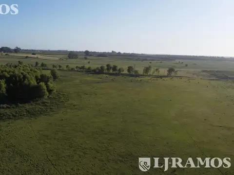 Terreno en Venta de 2748,0 m2