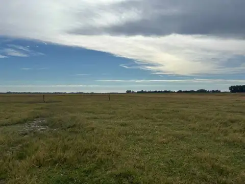 CAMPO EN VENTA EN BRAGADO