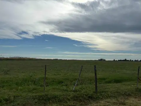 CAMPO EN VENTA EN BRAGADO