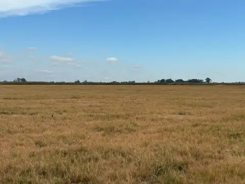 CAMPO EN VENTA EN BRAGADO