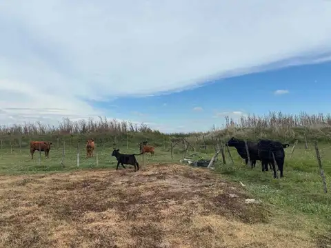 CAMPO EN VENTA EN BRAGADO