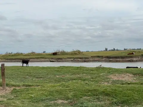 CAMPO EN VENTA EN BRAGADO