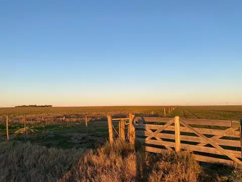 Campo en Venta en Bahía Blanca, Partido de Bahía Blanca
