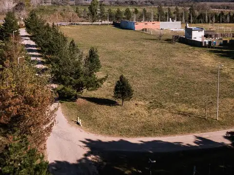 Terreno en Venta 50  mts Fondo