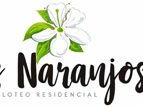 Ruta Nacional A009