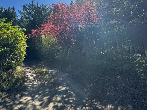 LOTE | TERRENO ZONA SUR RADA TILLY