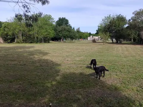 Terreno en Venta 50  mts Fondo