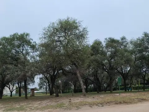 Terreno en Venta de 1515,0 m2