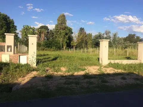 Colectora Norte Ruta 5