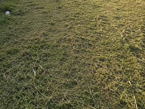 Comodoro Rivadavia