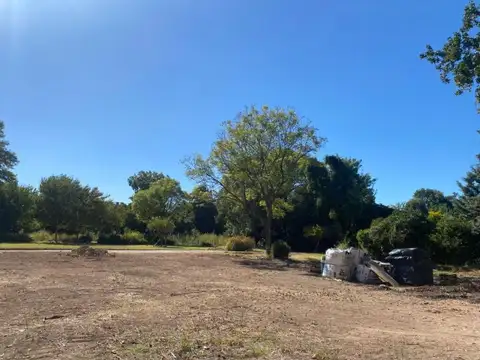Diego Palma 2300
