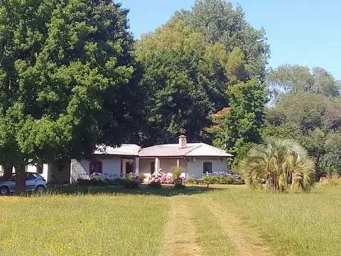 202 e/ 483 y 492 100