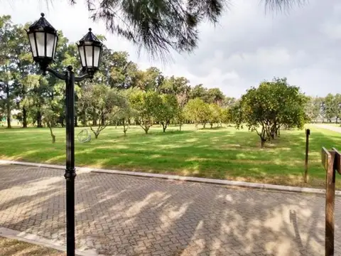 VENTA LOTE AZHARES DEL PARANA BARRIO RAICES. 