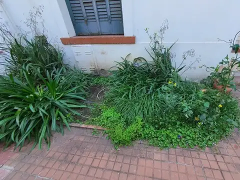 Casa en Alquiler en Centro, $ 950.000