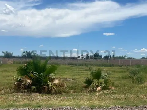 severo del castillo 3800