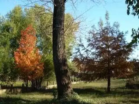 Terreno en Venta 10  mts Frente