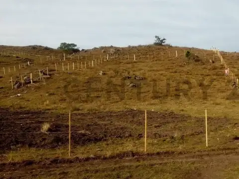 Oficina en Venta A Estrenar