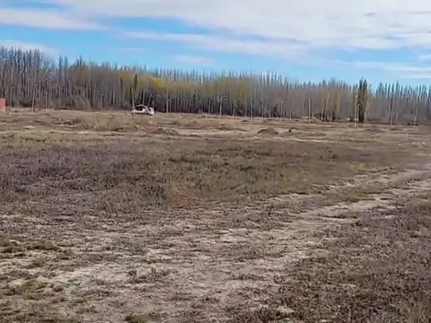 Terreno en Venta 20  mts Fondo