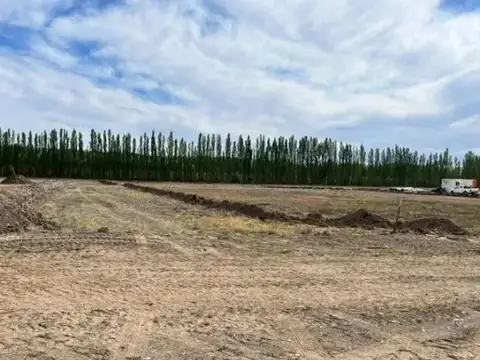 Terreno en Vista Alegre Sur