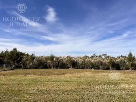 Terreno en Venta de 781,0 m2