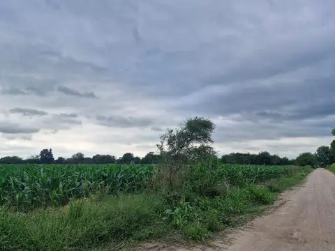 VENTA 16 HECTAREAS AGRICOLAS COLONIA CAROYA CBA