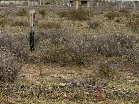 Terreno en Venta en China Muerta Plottier