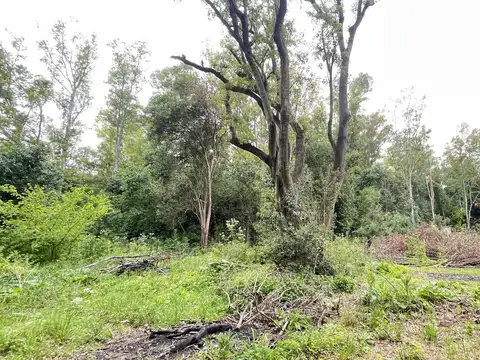 Campo en Venta en Villa Ruiz, San Andres De Giles