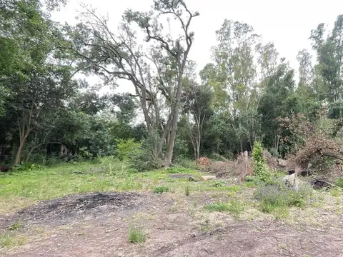 Venta de terreno en Venta en Villa Ruiz, San Andres De Giles