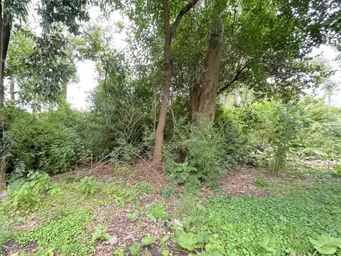 Campo en Venta en Villa Ruiz, San Andres De Giles