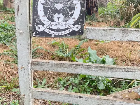 Campo en Venta en Villa Ruiz, San Andres De Giles