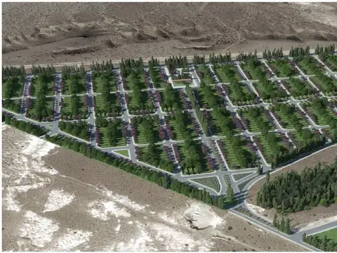 LOTEO - ALTOS DEL MICHACHEO - ZAPALA