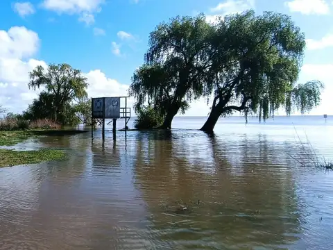Campo en venta Berisso   Rio de La Plata   33 Hectareas