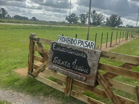 Estancia Santa Isabel, Rp24