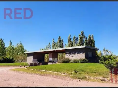 Lote F 02