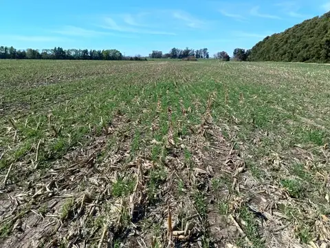 Baradero sobre Ruta 41