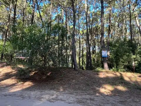 Lote  Comercial/Multifamiliar/Hotelero (L062)