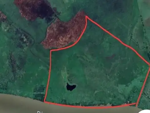 Campo en venta - 108 Hectáreas - Isla de Zárate
