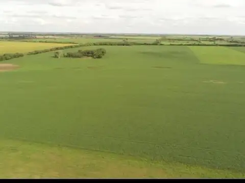 49 ha Campo María Luisa