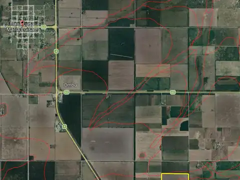 49 ha Campo María Luisa