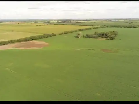 49 ha Campo María Luisa