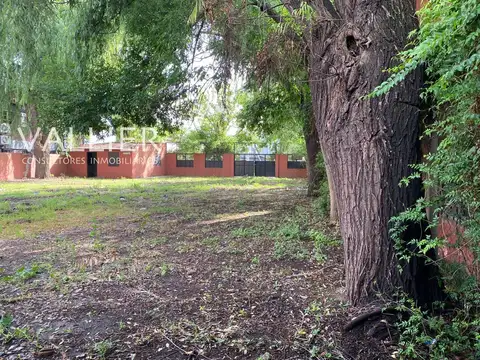 SANTIAGO DEL ESTERO 1300