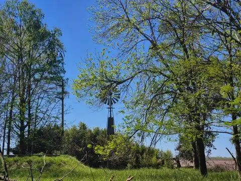 Oportunidad Venta Campo 21 Ha sobre Ruta 5 (Km 135) - Suipacha | Apta Comercial, Agro e Inversi...