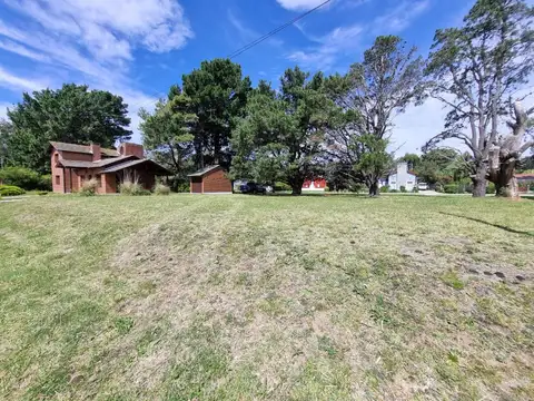 Avenida copetonas 100