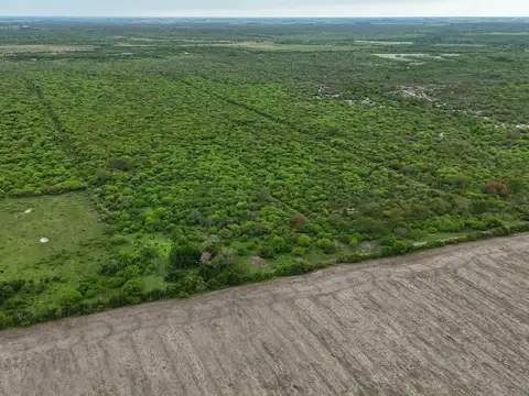 SE VENDE CAMPO GANADERO EN LA SARITA