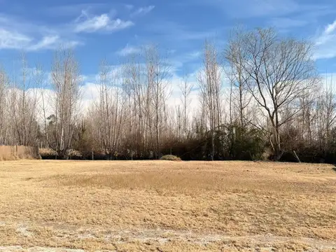 VENTA DE LOTE EN VALLE DE UCO, EXCELENTE INVERSIÓN