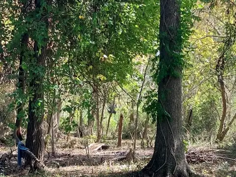 Terreno en Venta de 4680,0 m2